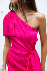 Robe Diana Leopard Fushia